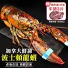 海肉管家-活凍波士頓龍蝦2隻(約400~500g/隻)【第2件送牛排】