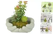 Small Artificial Plants, Mini Succulent Plants withute Plant Pot, Artificial C