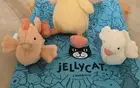 Jellycat Fluffy DUCK And Chicken Soft Plush Toy RETIRED Cute Duckling NWT