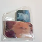 日本設計師手工製貓咪磁鐵文具