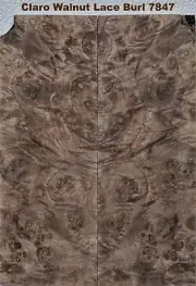 Outstanding Stabilized Claro Walnut Lace Burl scales #7847, 5 7/8 x 2 1/8 x 3/8+