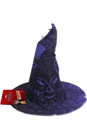 Harry Potter Sorting Child Hat