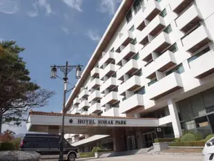 束草雪嶽公園飯店Hotel Sorak Park