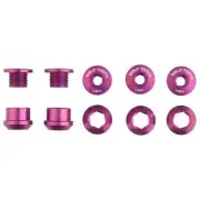 Wolf Tooth 1x Chainring Bolt Set - 6mm, Dual Hex Fittings, Set/5, Raw Silver