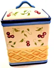 Large inspirado Stonelite Handpaint Porcelain Lidded Biscotti Cookie Biscuit Jar