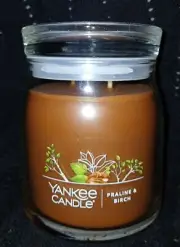Yankee Candle 13oz Medium Jar Signature Collection Praline & Birch Scent New