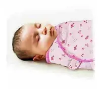 在飛比找樂天市場購物網優惠-Summer Infant SwaddleMe懶人包巾0~3