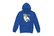Avatar: The Last Airbender Mens In Flight Appa Hoodie (Royal Blue) - UTTV8752