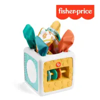 在飛比找momo購物網優惠-【Fisher price 費雪】趣味活動方塊