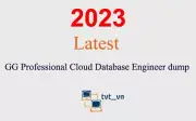 GG Professional Cloud Database Engineer dump GUARANTEED (1 month update)