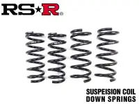 在飛比找Yahoo!奇摩拍賣優惠-【Power Parts】RSR DOWN SPRINGS 