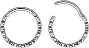 [365 Sleepers] Titanium Implant Grade 16G 6mm - 10mm Gem Hinged Segment Ring Helix Tragus Septum Clicker Nose Lip Hoop Earring Body Piercing Jewellery