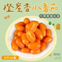 在飛比找momo購物網優惠-【禾鴻】橙蜜香小番茄禮盒5斤x6盒(不帶蒂頭出貨)