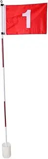 Colaxi Golf Backyard Cup Training Hole Course Driving Range Pin Set