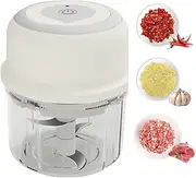 POATOW Electric Garlic Chopper,Portable Small Food Processor, 250ML Onion Chopper, Glass Containers Garlic Mincer, Food Chopper For Ginger, Chili, Fruit, Meat, Spices, Beans