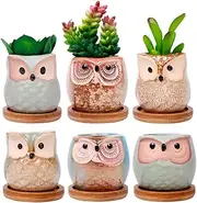 Owl Succulent Pots Ceramic Pot Flower Cactus Small Planter Mini Series Plants Set Succulents Plant Container Bonsai Decor Fall Gifts for Women Christmas Gift Mom Home Office Garden
