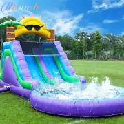 8x3.6x4.2m Giant Commercial PVC Inflatable Double Water Slide Bounce House Kids