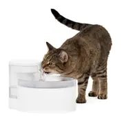 PetSafe® Outlast™ 1.7 L Pumpless Pet Fountain PWW10-17958