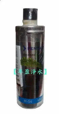 在飛比找Yahoo!奇摩拍賣優惠-【年盈淨水百貨】美國 原裝  EVERPURE H-54 濾