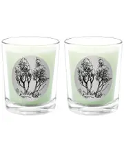 Qualitas Candles Santalum Two Scented Beeswax Candle Set