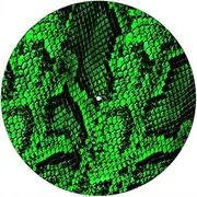 Slipmat Slip Mat Scratch Pad Felt for Any 12" LP DJ Vinyl Turntable Record Player Custom Graphical - Snake Skin GR