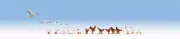 Noch HO Chickens & Geese 6 Chickens & 11 geese 15772