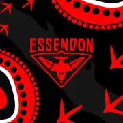 ESSENDON BOMBERS AFL FOOTBALL CHAMPION TEAM PLAYER POSTER,BARGAIN,2