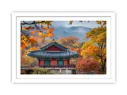 South Korea Framed Framed Print
