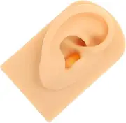 Vaguelly Silicone Piercing Teaching Model Lifelike Appearance for Professional Use