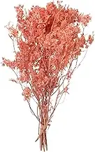 Uniquewise Pansy Flower Bundles Real Preserved Vase Fillers Home Decor Accents for Living Room Shelves Porch Planter Kitchen Counter Patio Garden and Wedding Table Centerpiece Pink, (Set of 2 Bunches)