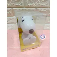 在飛比找蝦皮購物優惠-【✿佩佩部屋✿】SNOOPY PEANUTS 韓國史努比 超