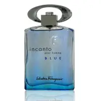 在飛比找Yahoo奇摩購物中心優惠-Salvatore Ferragamo Incanto Es