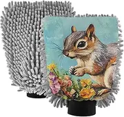 XYMZR Cute Squirrel Garden Absorbent Microfiber Car Wash Mitt, Funny Cute Anime Scratch Free for Cars Cleaning, Home Cleaning Mitts, 2 Pack, 10.24” L x 7.09” W