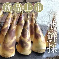 在飛比找台灣好農優惠-有機綠竹筍(中筍)4台斤-產地出貨