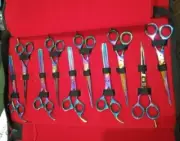 Barbar Scissors Stainless Steel 10PCS Kit Multi Color Special Offer