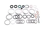 Rack and Pinion Seal Kit Sunsong For 2000-2002 Audi S4 (for: Audi)