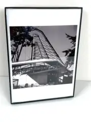 Frank Lloyd Wright - Construction Photo Beth Sholom Synagogue - 1959 (#2)