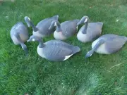 6 G & H Half Shell Canadian Goose Decoys Stackable Removable Swivel Head Geese