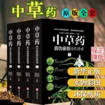 中草藥真偽鑒別原色圖譜全套4冊中藥材飲片鑒別彩色圖譜 圖解本草綱目㊣版彩圖植物圖鑒中醫學書籍中草藥材彩色圖譜中草藥彩圖大