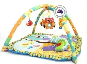 Little Archer & Co.™ Baby Floor Activity Play Gym, Play Mat for Infants