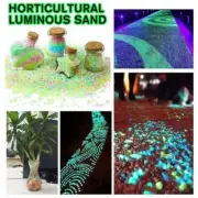 1000x Glow In The Dark Pebbles Garden Glowing Rocks Tanks Stones Luminous Gifts