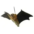 67cm Wing Span Hansa Flying Fox Realistic Cute Soft Animal Plush Toy Cuddly Gift
