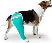Hip and Thigh Wound Protective Sleeve for Dogs. Dog Recovery Sleeve. Recommended by Vets Worldwide (Large, Teal Green)