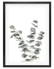 [Profile Australia] Australian Made Eucalyptus Foliage Art Print A2 in Black Frame