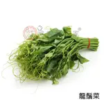 【歐廚到你家】龍鬚菜 200G±10%