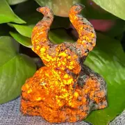 Top! 3" Natural Fire Golem Quartz Carved vampire skull Crystal healing1PC