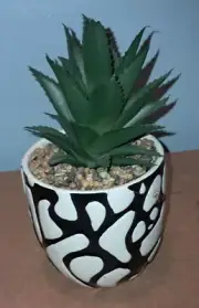OLD EAST MAIN CACTUS PLANT HOME DECOR ALMOST 8IN HIGH BLACK & WHITE VASE UE26