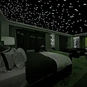 Realistic 3D Domed Glow in The Dark Stars606 Dots for Starry Sky Perfect for Kids Bedding Room Gift(606 Stars) (Green)