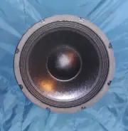 NOS - MCM - 10 Inch Woofer Speaker - PA/DJ/ Instrument - 8 Ohm - 250 Watts