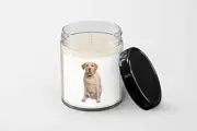 Labrador Candle - Soy Wax Candle - Hand Poured Candle
